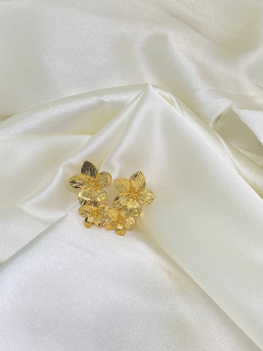 Aretes Aura