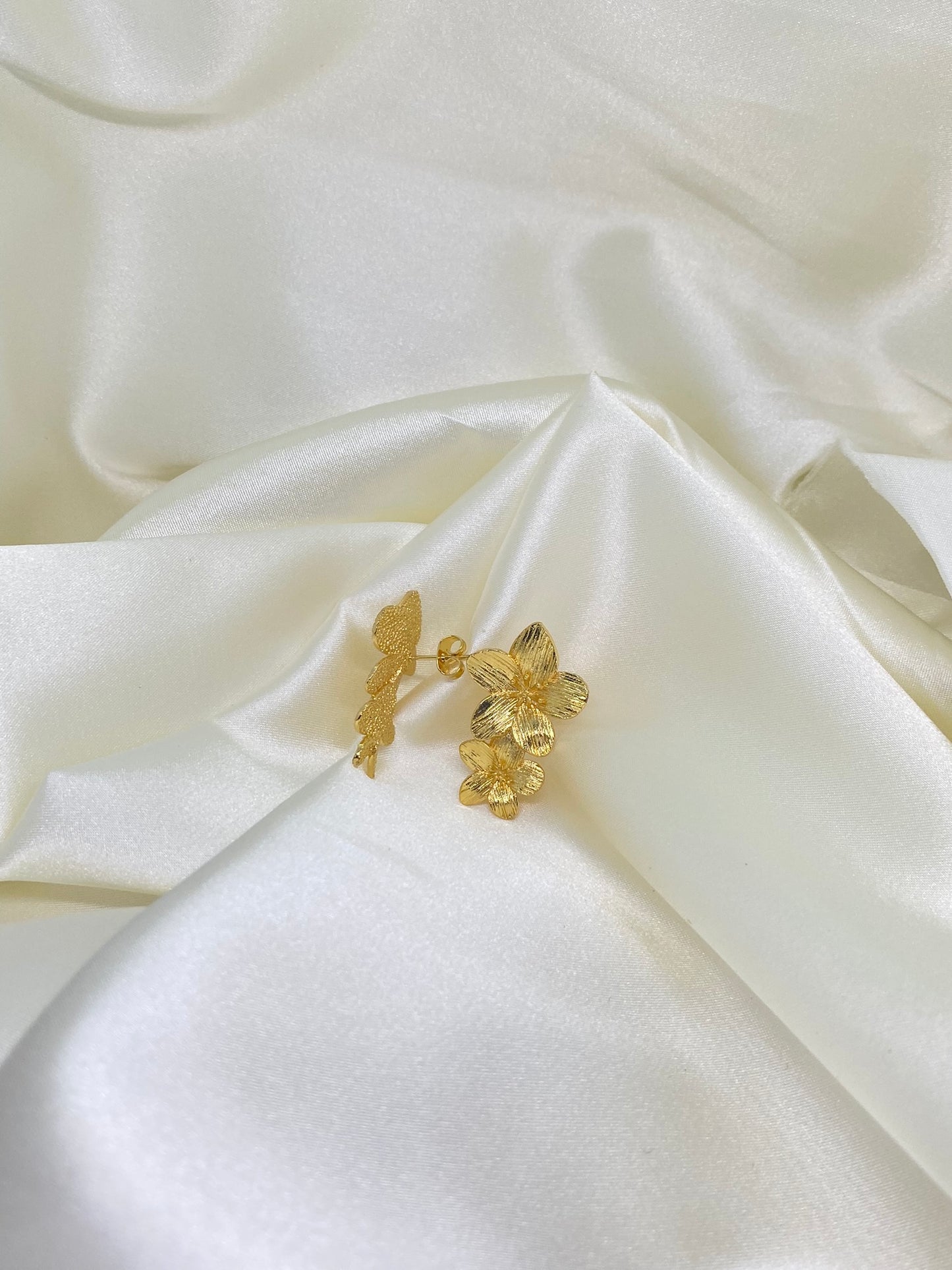 Aretes Aura