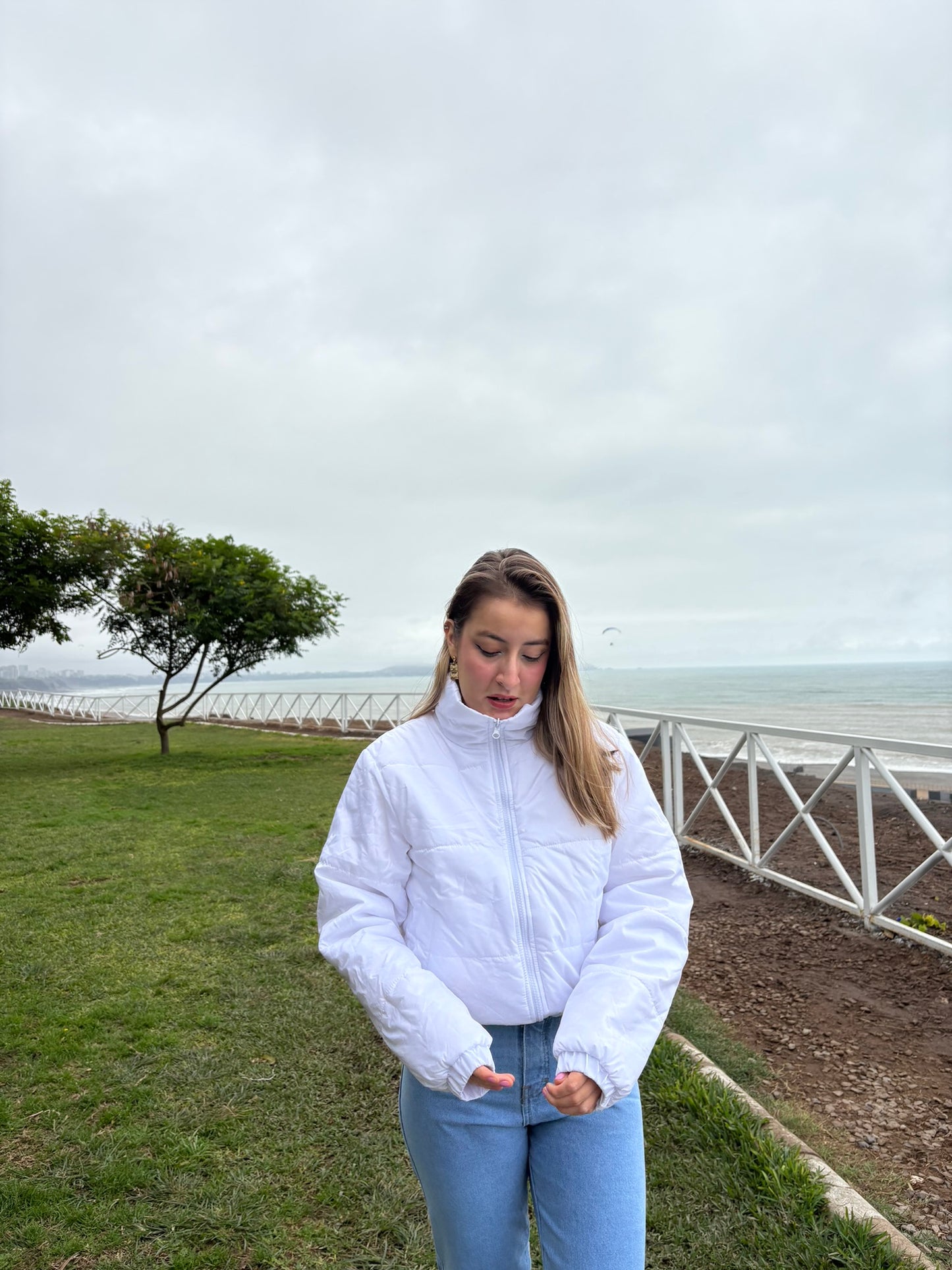 Casaca Puffer