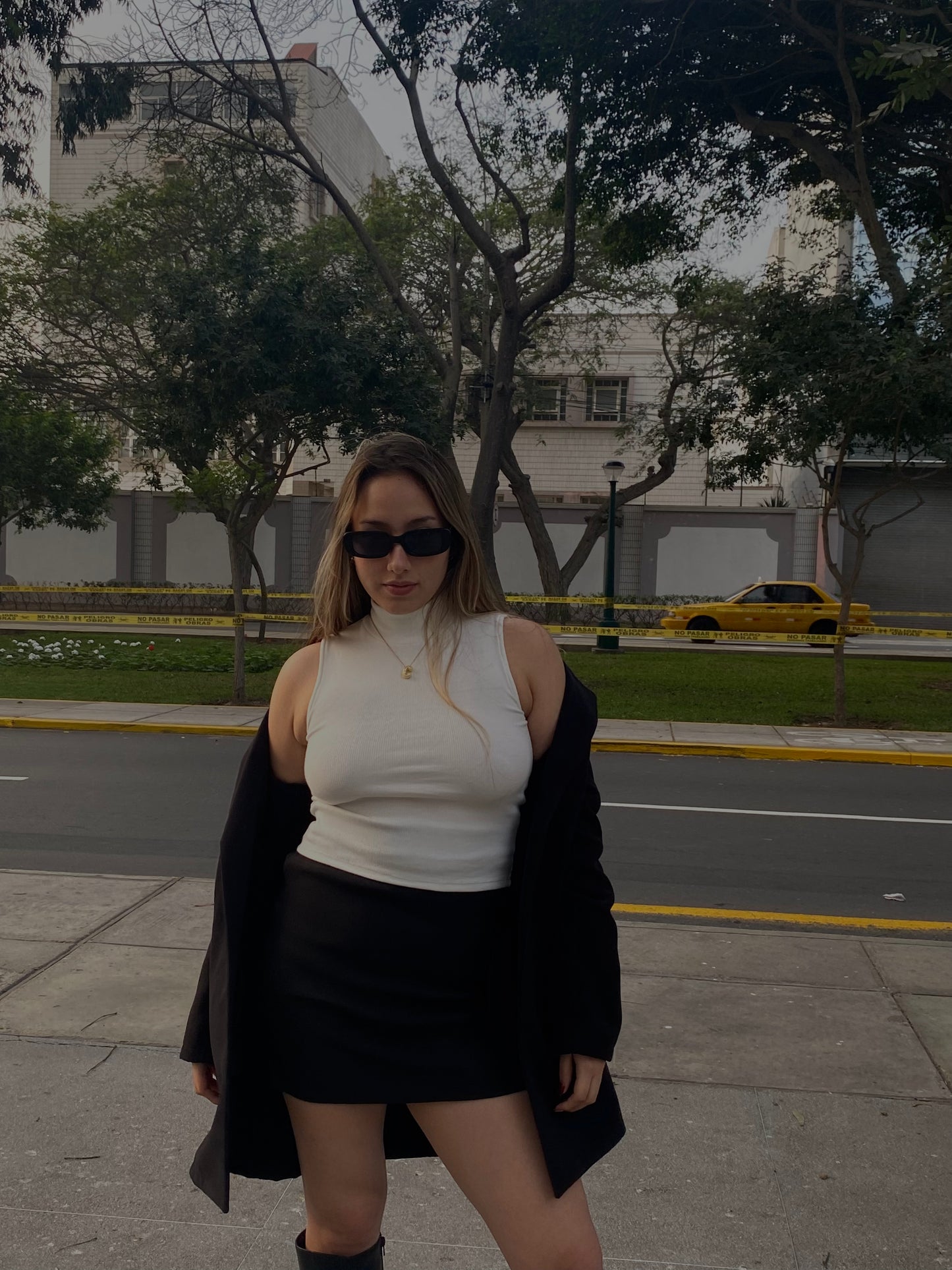 Falda Mini